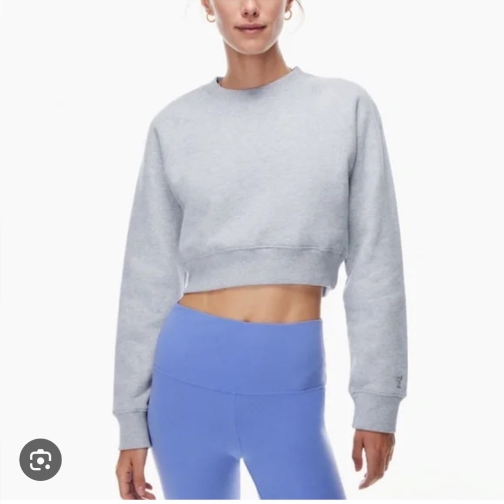 Aritzia Tna Cozy AF Cropped Crewneck Sweatshirt